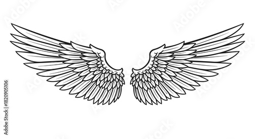 Detailed black and white illustration of a pair of open angel or bird wings with intricate feather details in a tattoo style.