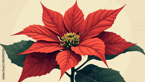 Detailed poinsettia flower plant christmas closeup with lush petals and green leaves