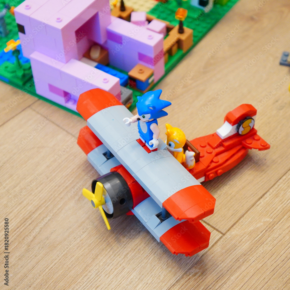 Obraz premium Sonic the Hedgehog and Tails in a Lego airplane with a Minecraft pig house in the background