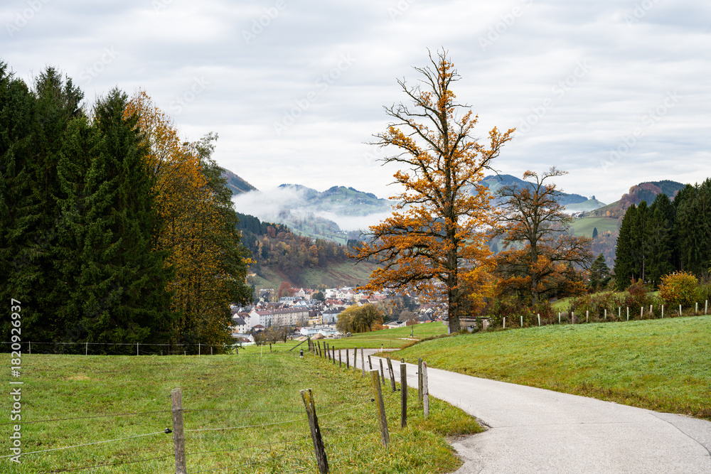 Fototapeta premium Autumn in the Mostviertel
