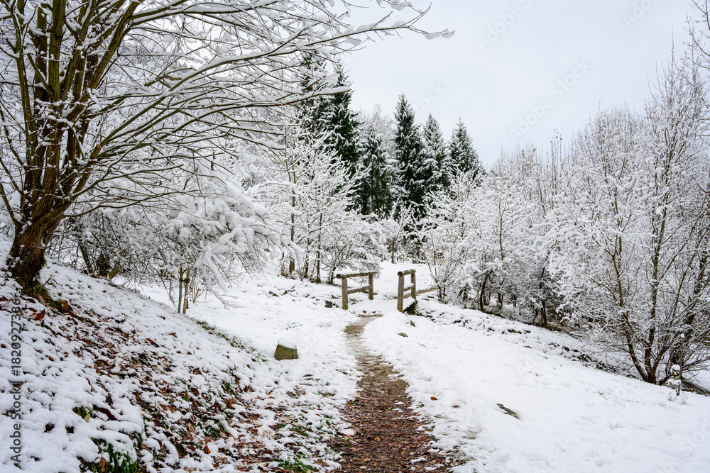 custom made wallpaper toronto digitalwinter landscape with snow