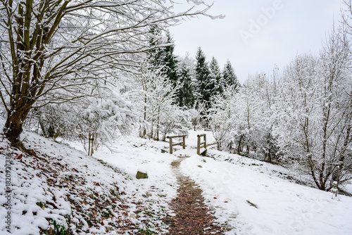 Wallpaper Mural winter landscape with snow Torontodigital.ca