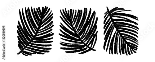 Hand-drawn set of fir branches with rough artistic ink edges. Organic monochrome illustrations ideal for winter themes, Christmas designs, holiday decor, and seasonal creative projects.