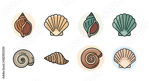 Collection of various seashell illustrations on white background
