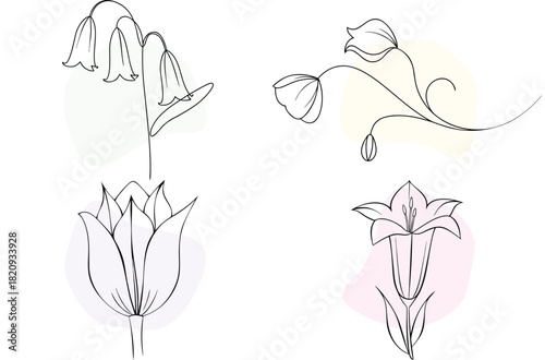 Elegant Hand Drawn Botanical Flower Line Art Sketch Collection