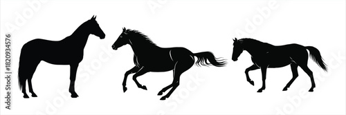 Set of black horse silhouettes showing different gaits from standing to running