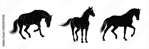 Silhouettes of horses, each in different poses, showing movement and grace