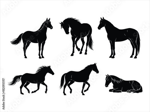 Silhouette Collection of Diverse Horse Poses and Movements
