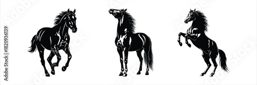 Set of three majestic black horse silhouettes in dynamic poses of running,standing,and rearing
