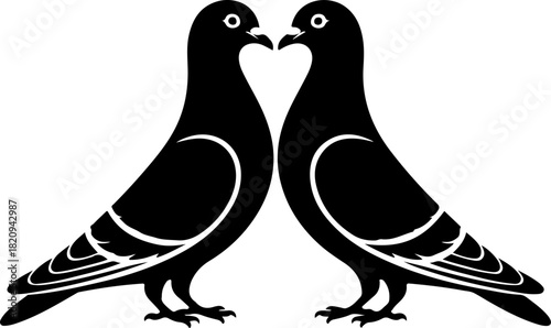 Valentine pigeon couple with heart silhouette vector illustration