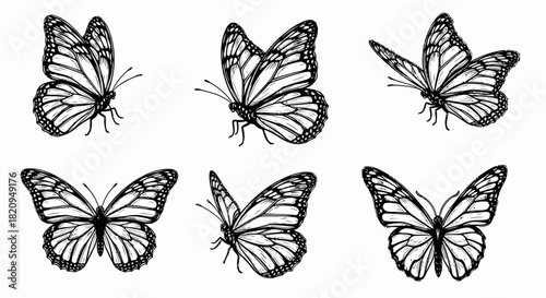 Set of black and white hand-drawn butterfly vector icons. Collection of isolated flying insect illustrations in sketch style