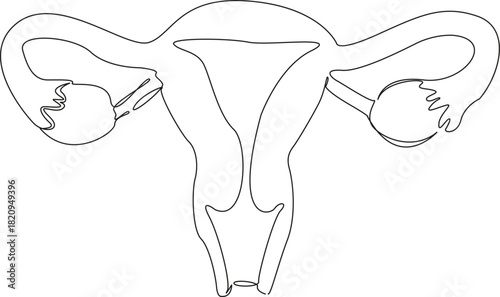 One continuous single drawing line art flat doodle uterus, woman, anatomy, organ, gynecology, reproductive, vagina. Isolated image hand draw contour on a white background, hand drawn, not AI