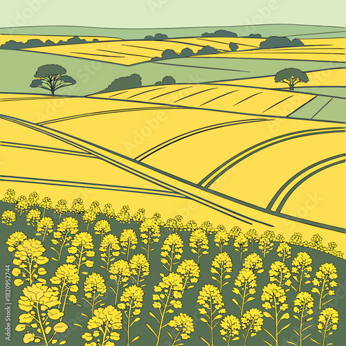 Rolling green hills and yellow canola fields with trees under a pale sky