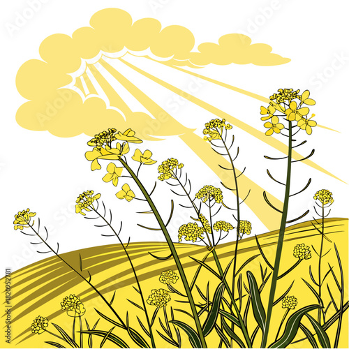 Stylized illustration of a vibrant yellow rapeseed field under a bright sunny sky with clouds