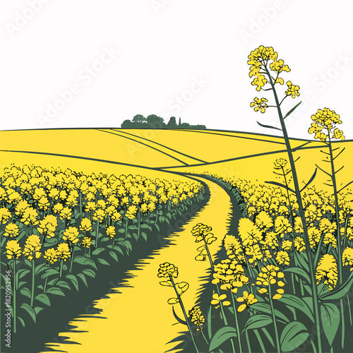 Vibrant yellow canola field with a winding path leading towards a distant tree line and rolling hills