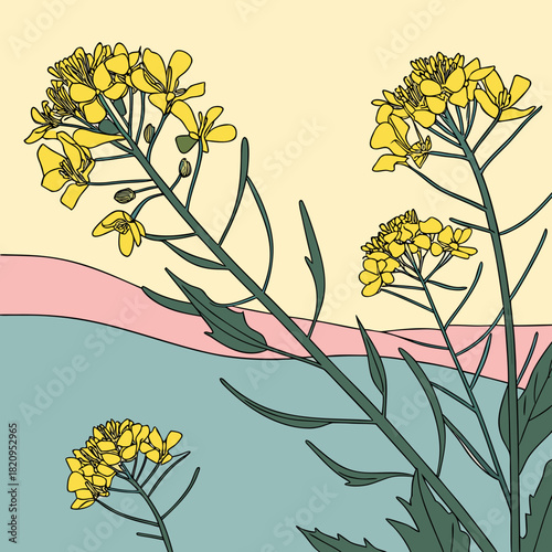 Stylized illustration of bright yellow canola flowers blooming against a soft pastel background