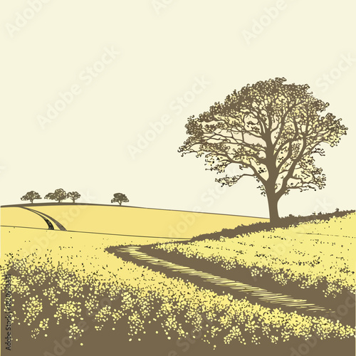 Stylized illustration of a winding dirt path through a yellow wildflower field leading to a large oak tree