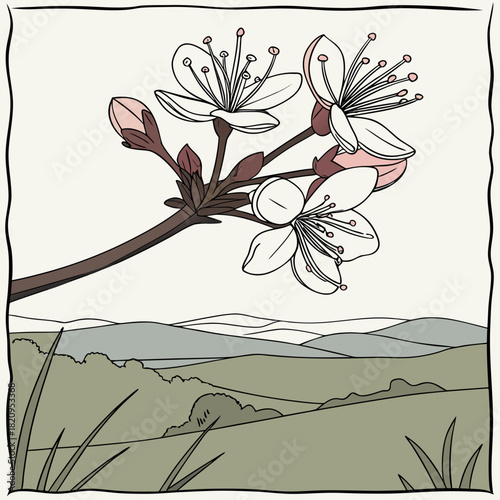 Delicate cherry blossoms bloom on a branch against a serene landscape of rolling hills and grass