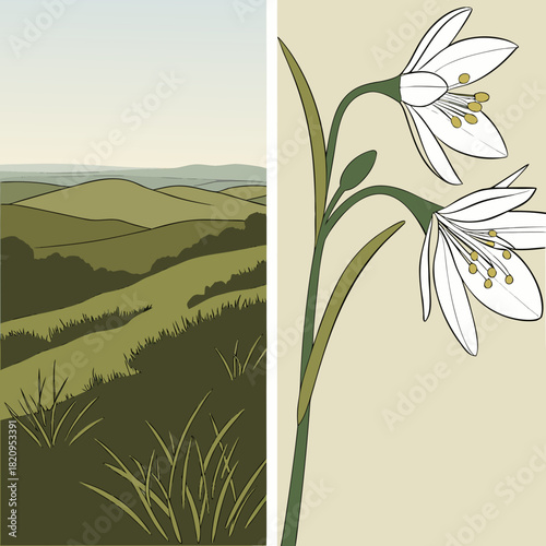 Stylized illustration of rolling green hills and a delicate white flower with yellow stamens