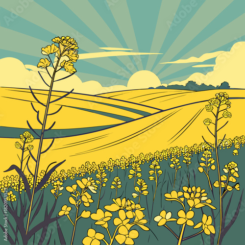 Vibrant yellow rapeseed flowers bloom in rolling fields under a stylized sunrise with sunburst sky