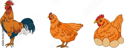 A vibrant and detailed set of colorful realistic vector illustrations depicting various elements of a modern farming and agricultural business.