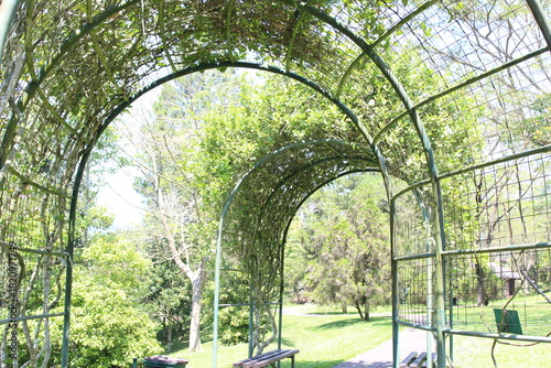 Fototapeta Naklejka Na Ścianę i Meble -  park in summer