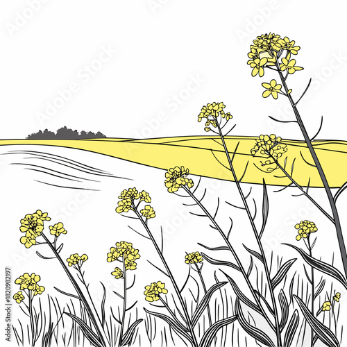 Stylized illustration of blooming yellow rapeseed flowers in a field with rolling hills and distant trees