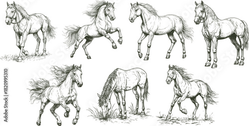 Horse Sketch Set, Hand Drawn Running Horse Illustrations, Vintage Equine Drawing Collection
