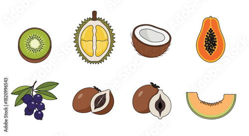 Assortment of fresh fruits kiwi durian coconut papaya and more