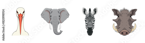 Illustrated animal portraits: stork, elephant, zebra, warthog on white background