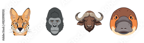 Illustrated animal faces: serval, gorilla, buffalo, platypus