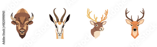 Illustration of bison, gazelle, reindeer, and deer with antlers on white background