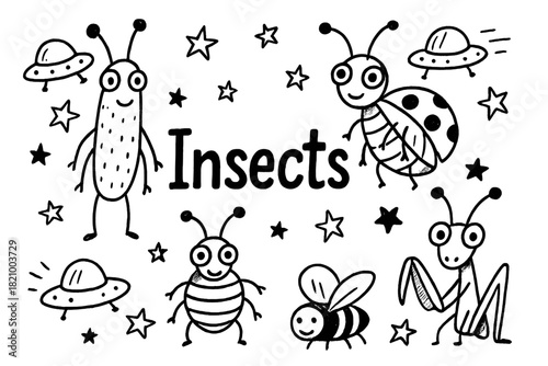 Insects are a group of animals that have six legs and three body parts