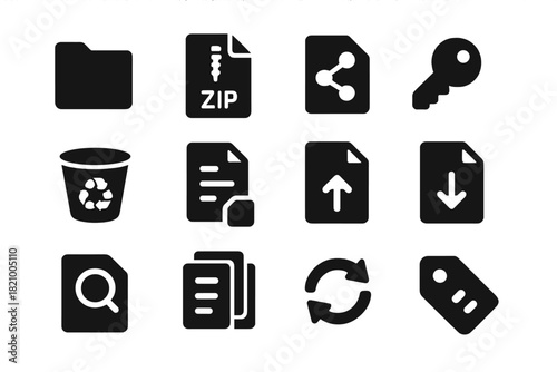 Digital File Icons. Solid style icons of digital file management: folder, zip archive, shared file, permissions key, recycle bin,