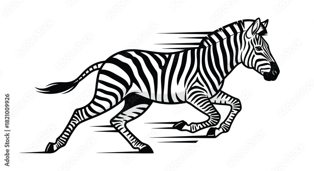 Fototapeta premium Running Zebra with Motion Blur Illustration