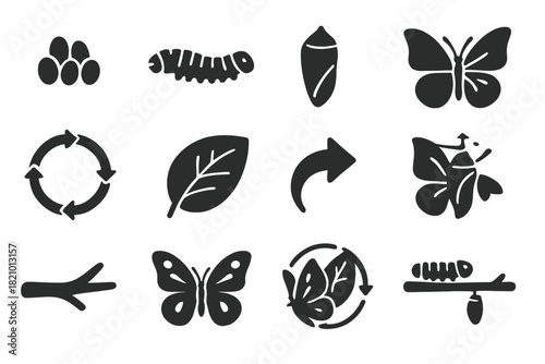 Butterfly Life Cycle. Solid style icons of Butterfly Life Cycle: butterfly egg, caterpillar, pupa stage, emerging butterfly, life