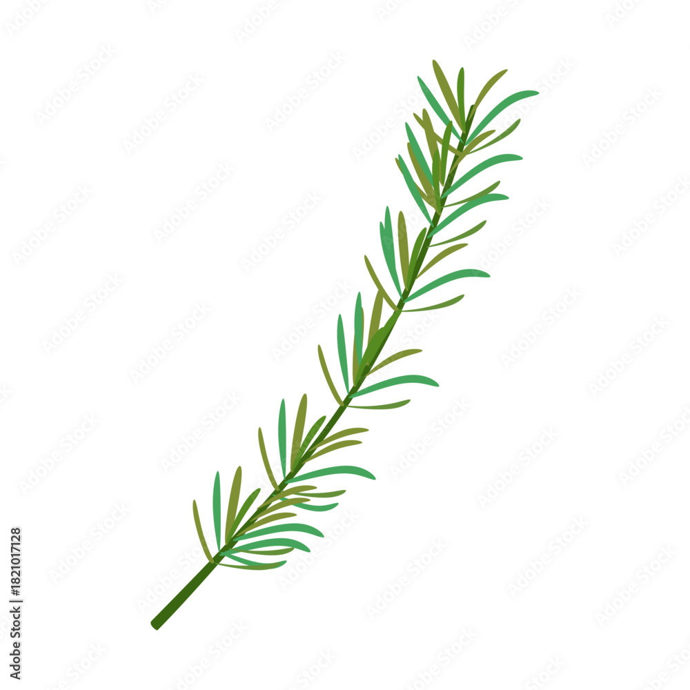 Fototapeta premium Flat Illustration of Rosemary Sprig for Culinary Use