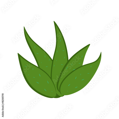 Flat Illustration of Aloe V...