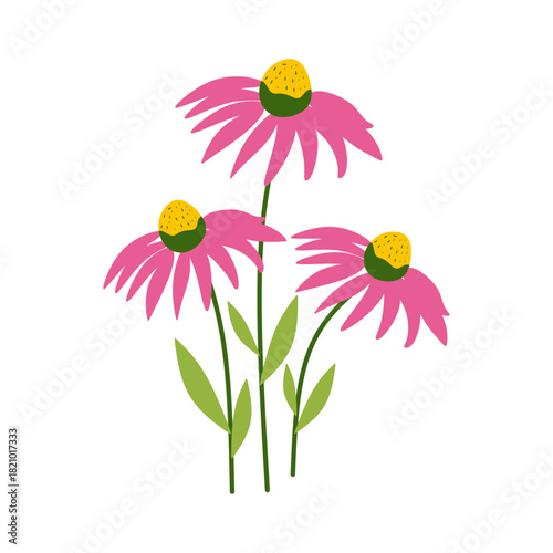 Flat Illustration of Echina...