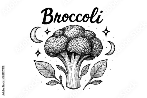 Black and white drawing of a broccoli plant with a leafy green stem