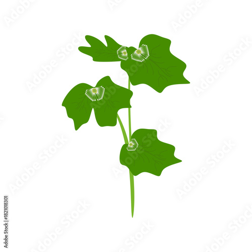 Flat Illustration of Golden...