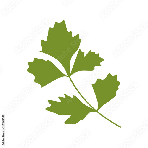 Flat Illustration of Fresh Parsley Leaves for Garnish