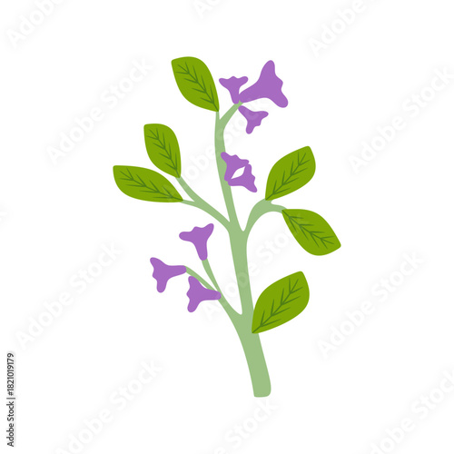 Flat Illustration of Pau d'Arco for Herbal Medicine