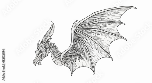 Hand drawn fantasy dragon with large wing illustration.