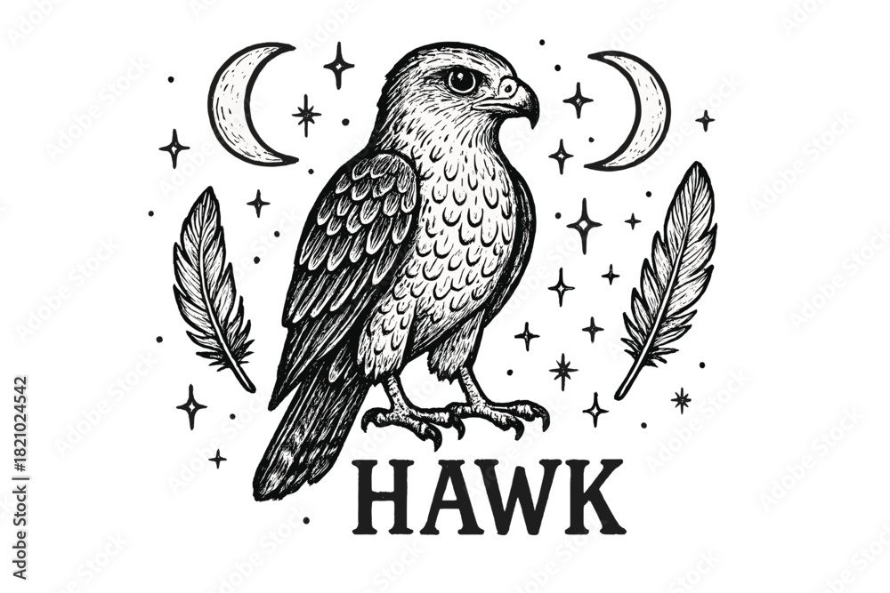 Obraz premium Black and white drawing of a hawk with feathers and stars