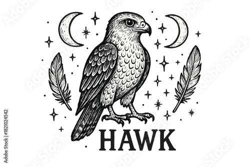 Black and white drawing of a hawk with feathers and stars