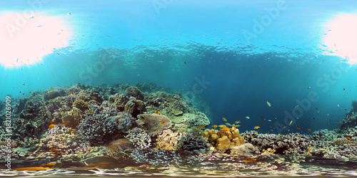 Fototapeta Naklejka Na Ścianę i Meble -  Tropical colourful underwater seascape. Tropical fishes and coral reef underwater. Underwater landscape. Philippines. 360 panorama VR