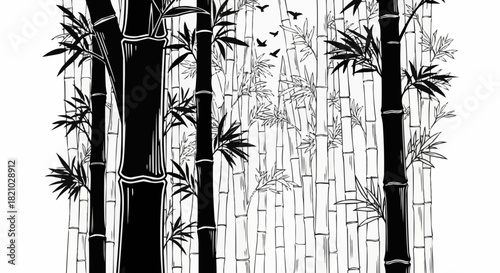 Bamboo Forest Silhouette Black and White Illustration Nature Scene.