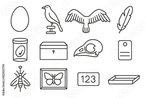 Preserved Specimen Icons. Line style icons of preserved specimens: bird egg, mounted bird, wing spread, feather sheet; glass jar,