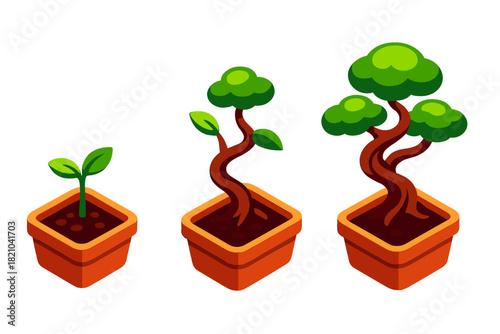 Bonsai Growth Journey. Isometric vector illustration set Bonsai Growth Stages: Seedling in pot, sapling with first wires,